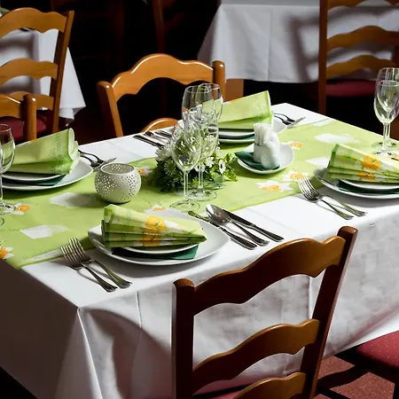 Hotel Svratka Hotel