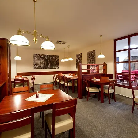 Hotel Svratka 3* Svratka