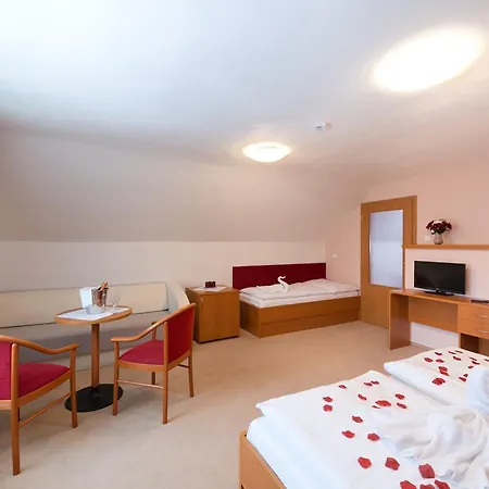 Hotel Svratka
